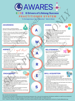 AWARES Practitioner System: 6 Drivers of Lifelong Success (English)* Free for Champion Members